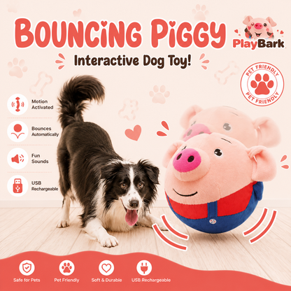 PlayBark™ Smart Bounce Toy